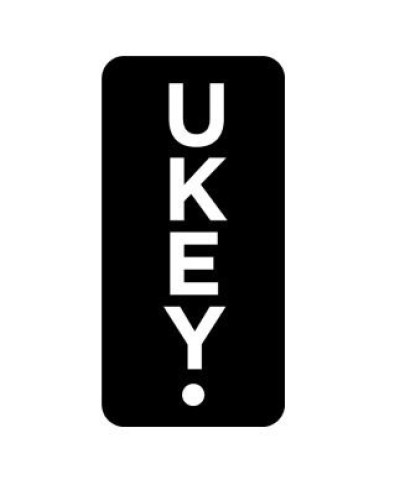 SH-03 (UK-01 UKEY) (упак 10 шт). Идентификатор. BAS-IP в Копейске