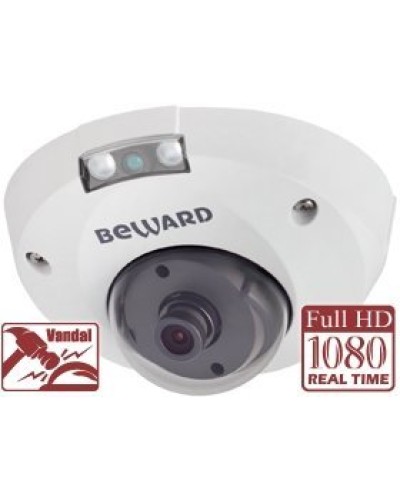 NK55630D8. IP-камера купольная. Beward в Копейске