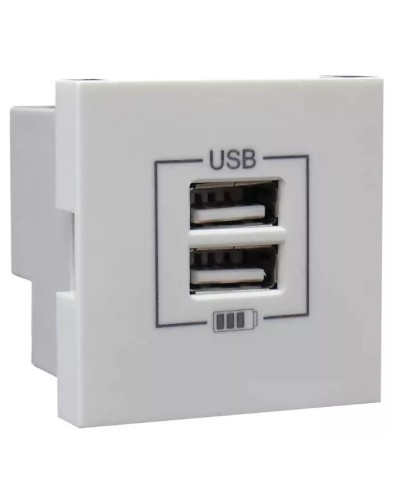 Розетка USB двойная, зарядная, белая (45439 SBR): Розетка USB двойная в Копейске