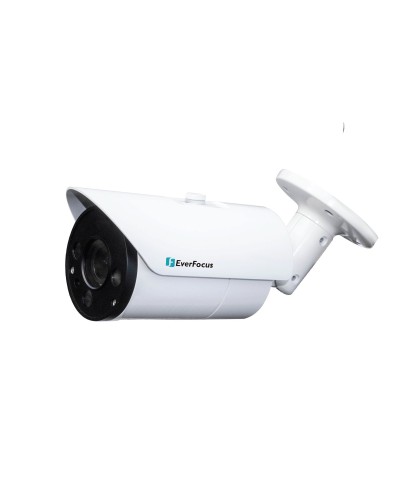 EZN-268V. Видеокамера IP купольная. EverFocus в Копейске