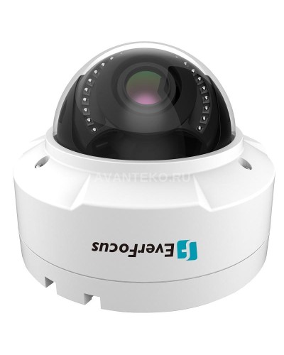 EHN-1250. Видеокамера IP купольная. EverFocus в Копейске