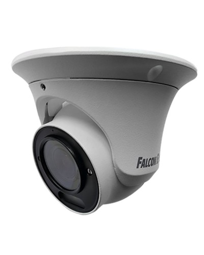 FE-IPC-DV5-40pa. Видеокамера IP купольная. Falcon EYE в Копейске