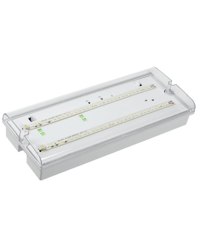 Светильник аварийный ДПА 5042-3 3ч IP65 LIGHTING (LDPA0-5042-3-65-K01). Светильник аварийный универсальный. IEK в Копейске
