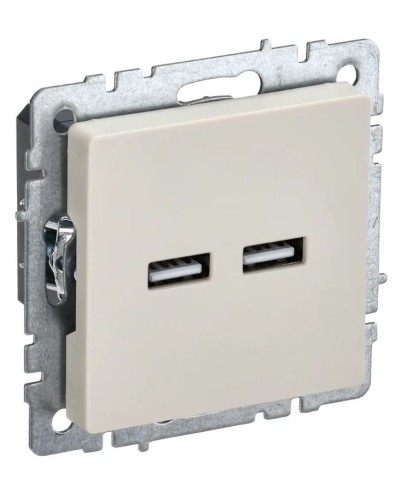 Розетка USB A+A 3,1А РЮ10-1-БрКр бежевый BRITE (BR-U21-D31-K10). Розетка USB. IEK в Копейске