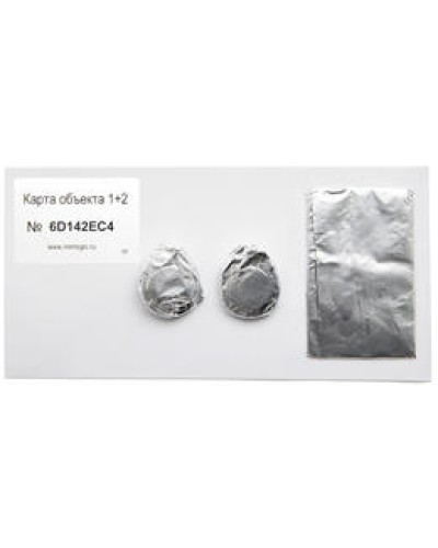 Карта объекта 1+2. Проксимити карта. IronLogic в Копейске