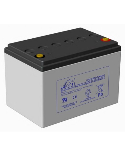 LEOCH LPG 12-60. Аккумулятор герметичный свинцово-кислотный. LEOCH в Копейске