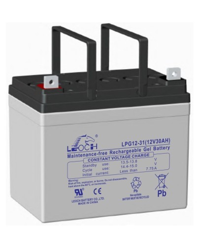 LEOCH LPG 12-31. Аккумулятор герметичный свинцово-кислотный. LEOCH в Копейске