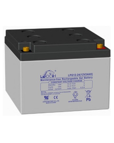 LEOCH LPG 12-24. Аккумулятор герметичный свинцово-кислотный. LEOCH в Копейске