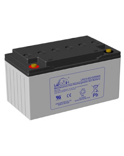 LEOCH LPG 12-65. Аккумулятор герметичный свинцово-кислотный. LEOCH в Копейске