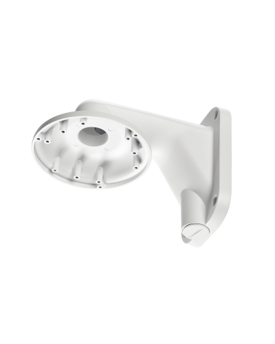 RVi-1BWM-5 white. Кронштейн настенный. RVi в Копейске