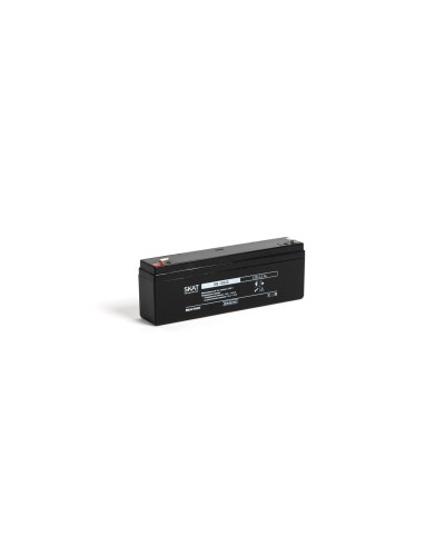 SKAT SB 12022 (2539). Аккумулятор герметичный свинцово-кислотный. Бастион в Копейске