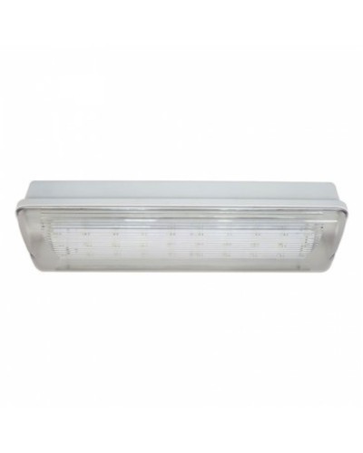 SL-213-30LED1.8 исп.1 IP54. Светильник аварийного освещения. ИП Раченков А.В. в Копейске