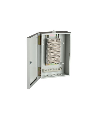 ШРН-В/100-Р (120908-00122). Шкаф ШРН-В/100-Р, плинт ПВТ-10Р-5е. ССД (Связьстройдеталь) в Копейске